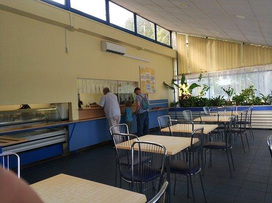 Bar Sady Zoliborskie